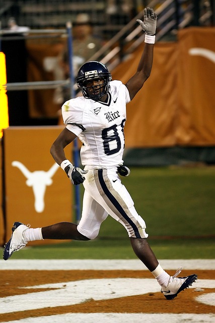 的完美结合 的完美结合