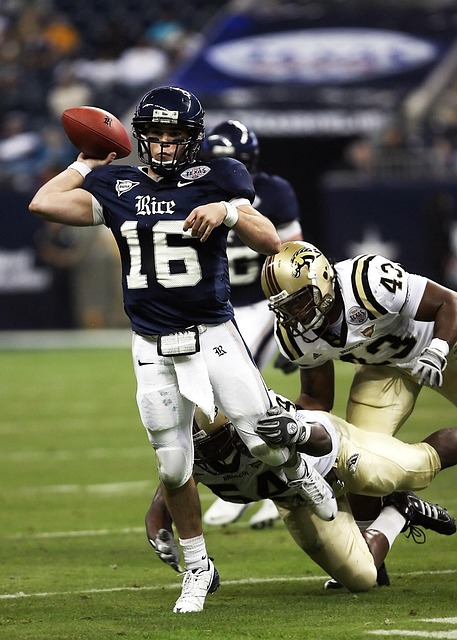 他们将最大 他们将最大